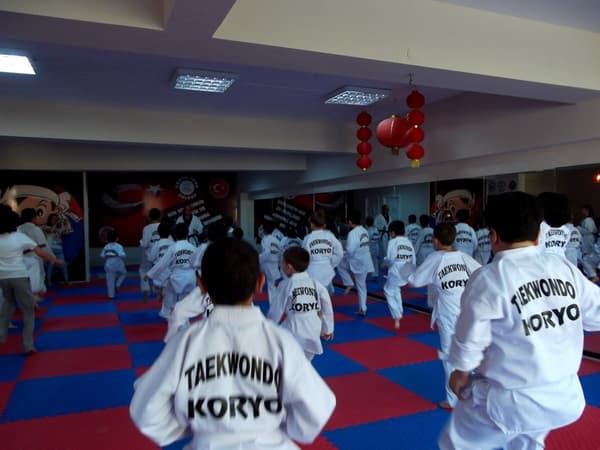 Yaşamkent Koryo Spor Kulübü - 13. Fotoğraf Yaşamkent Koryo Spor Kulübü - 13. Fotoğraf